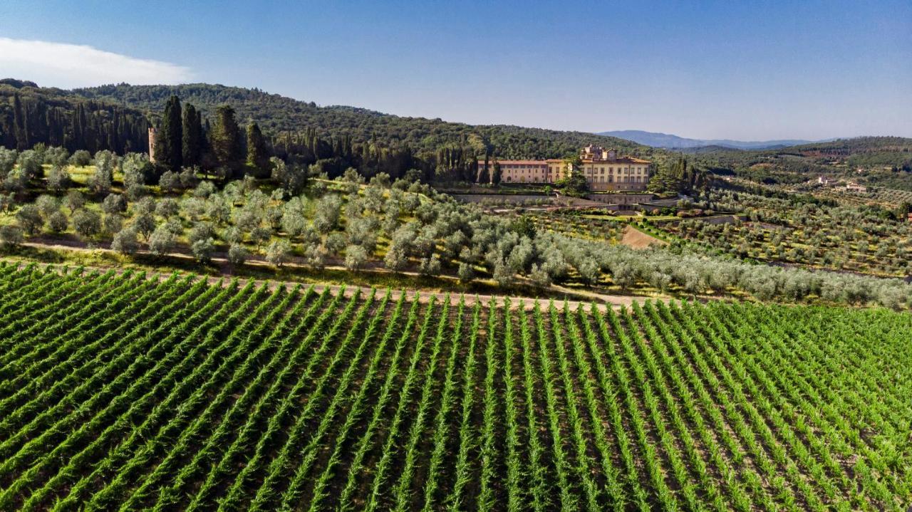 Torre A Cona Wine Estate San Donato in Collina