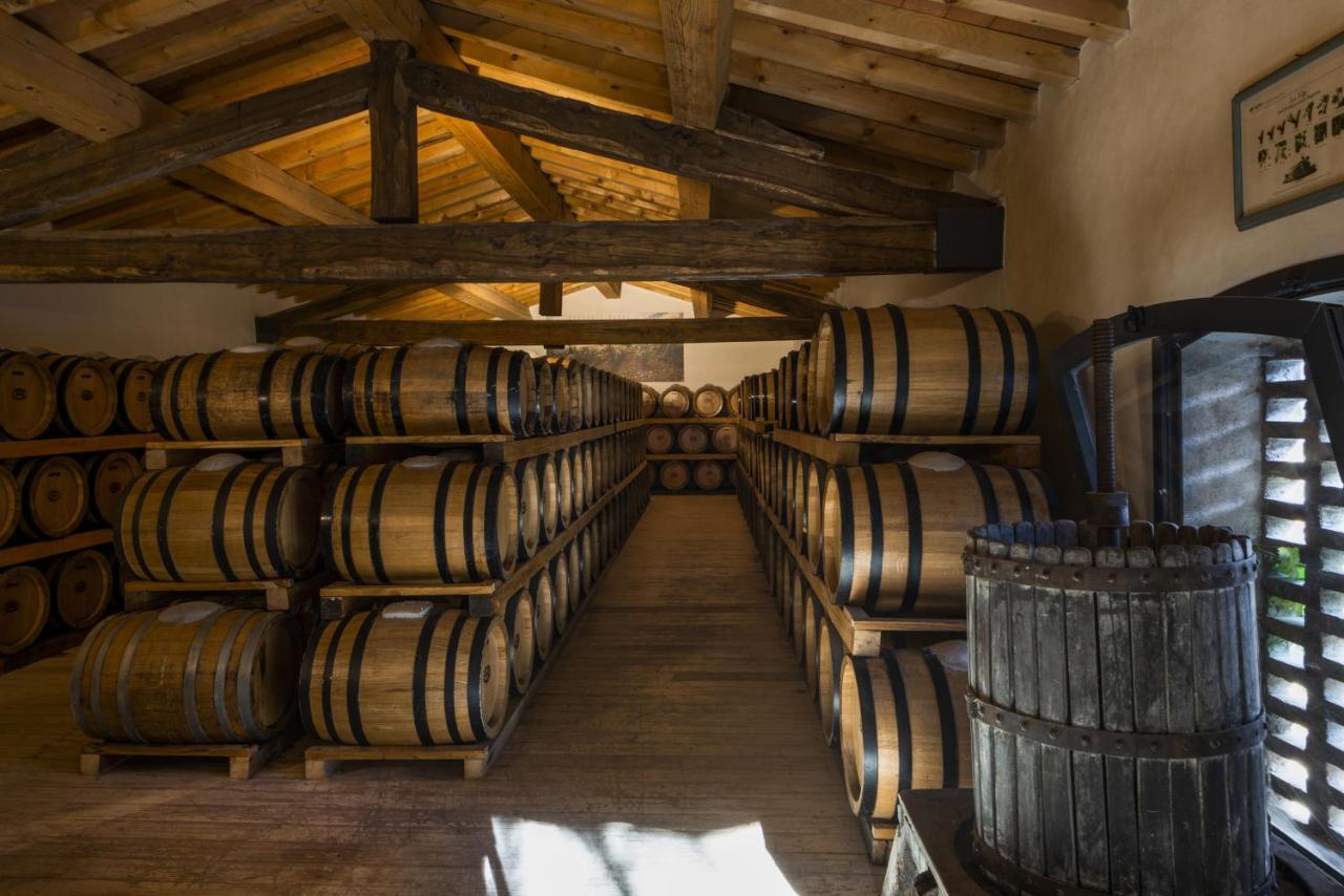 Hotel Torre A Cona Wine Estate